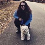 Overnight/ Daily Walking Pet Services
