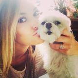Im here to help! I know the struggles of finding a good pet sitter/walker!