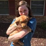 Severna Park Dog Walker Interested In Being Hired