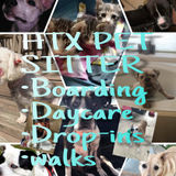 Tomball/Spring Pet Sitter Looking For Work