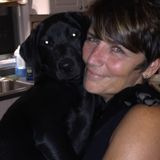 Available: Reliable & Loving Pet Care
