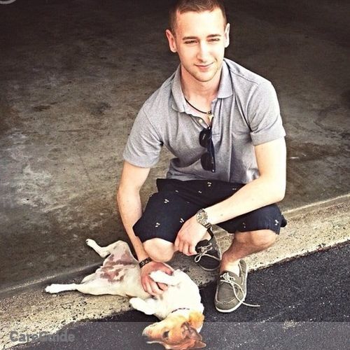 Pet Care Provider Jerry N's Profile Picture