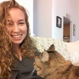 Pet Sitter