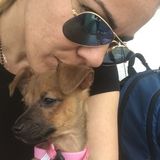 Azalea Park Animal Caregiver Interested In Job Opportunities in Orlando
