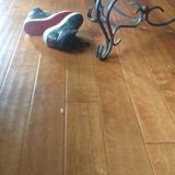 Commercial / Blg Janitor