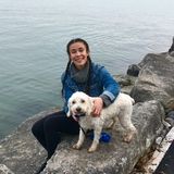 Trustworthy, Experienced Pet Sitter/Walker/Carer :)