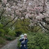 experienced Nanny looking for a new position