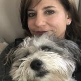 Concord, New Hampshire Dog Trainer Posting