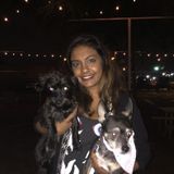 Looking for a temp dog BFF for my fur-child