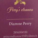 Cleaner