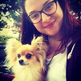 Marybeth's Downtown Animal Care