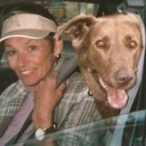 House Sitter Provider Lee Hunt's Profile Picture