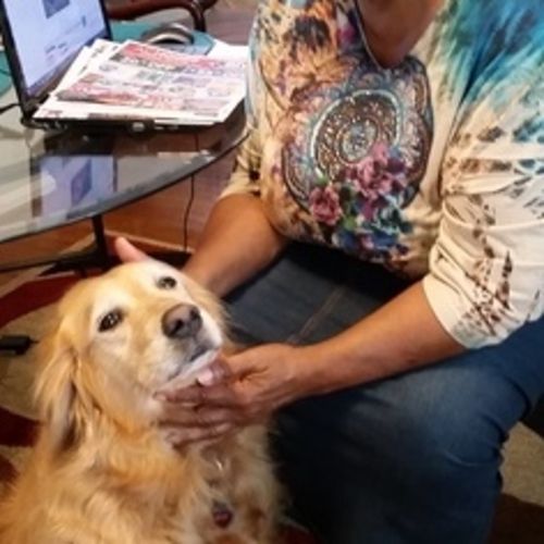 House Sitter Provider Mattie D's Profile Picture