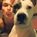 I am a pet sitter.