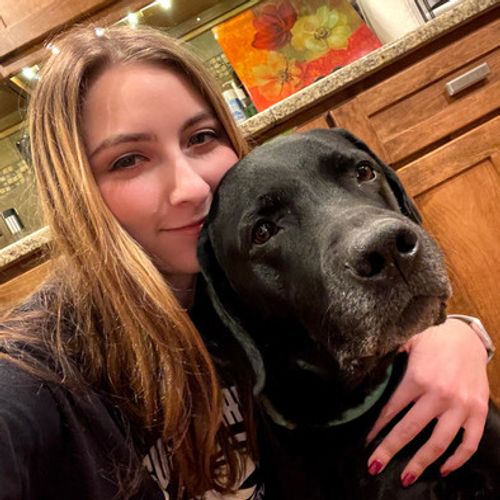 Interested In Danville Pet Sitter Opportunity Dog Walker
