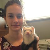 Rockford Pet Sitting Professional Available For Work