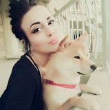 A Lover of all animals and a Proud owner of 2 Shiba Inu's