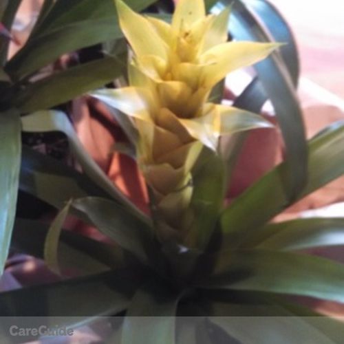 Elder Care Provider Rhea Mae J's Profile Picture