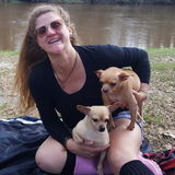 For Hire: Present House Sitting Provider in Covington, Louisiana