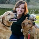 Caring for all animals is my passion. I founded Good Shepherd Animal Refuge in 2012.