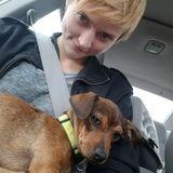 Need a Petsitter? I'm your person!