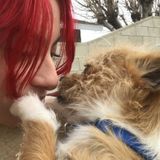 Well Trained Pet Supervisor in Palmdale, California!
