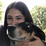 Hard Working Animal Lover in San Antonio