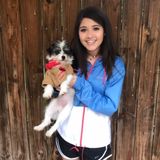 San Antonio Babysitter Seeking Job Opportunities
