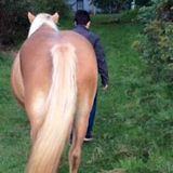 Skilled Pet Sitter Available Immediately