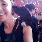 Animal lover available!