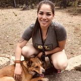 Woodland House Sitting Provider Interested In Being Hired