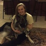 Interested In a Pet Sitter Opportunity in Paragould