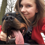 Hi Im looking for a dog walking or pet sitting opportunity