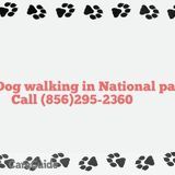 2016 National park dog walking and pet care