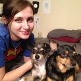 Full-time animal lover and vegan looking for pet care opportunities!