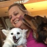 Pet/Housesitter- 30+ years experience