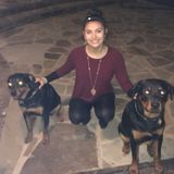 Present Pet Care Provider in Katy