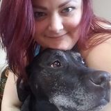 Nurturing Caretaker for Your Pets