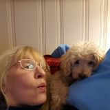 Pet Sitting/Walking & House Sitting