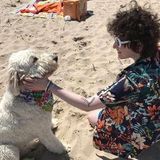 Interested In Caring For Cats & Dogs Near New Rochelle, New York