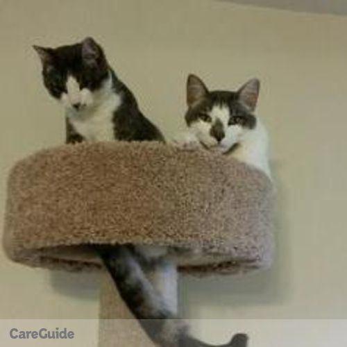 Pet Care Job Carolyn M's Profile Picture