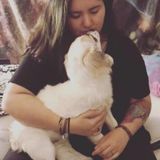 Reliable, Loyal, Honest House and Pet Sitter