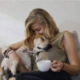 Experienced Pet Trainer in Los Angeles County. Non-smoking
