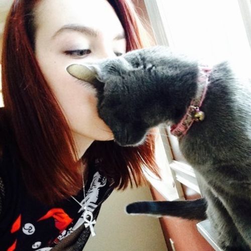 Pet Care Provider Bethany M's Profile Picture