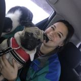 Hi, my name is Olivia, I'm 18 living in Aylmer. Seeking an opportunity to help parents & pet owners with care in Gatineau.