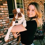 Danbury Pet Supervisor Interviewing For Being Hired in Connecticut