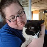 Midland Child Care Provider Available For Work