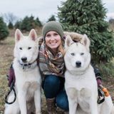 Must Love Canines Pet Services