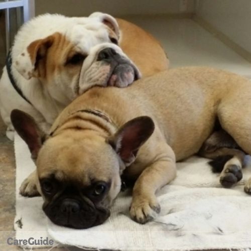 Pet Care Provider Charlotte von der Ahe's Profile Picture