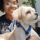 House and Loving Pet Sitter!